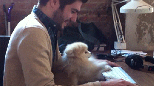 typing guy and dog